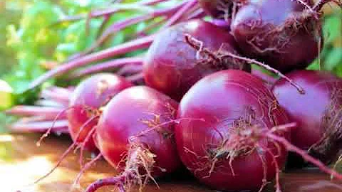 Benefits Of Beetroot Juice by Norman Walker