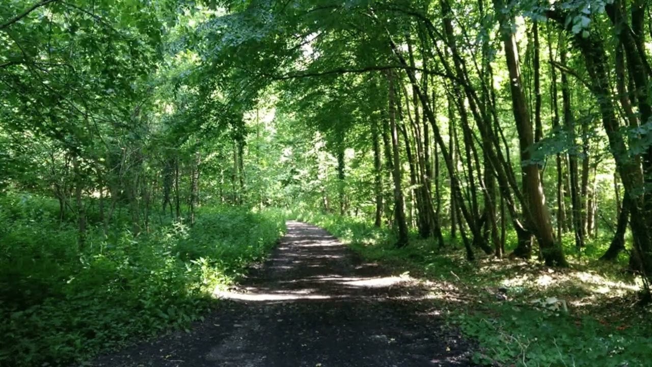 🎙️ Episodio 21- La esencia del control