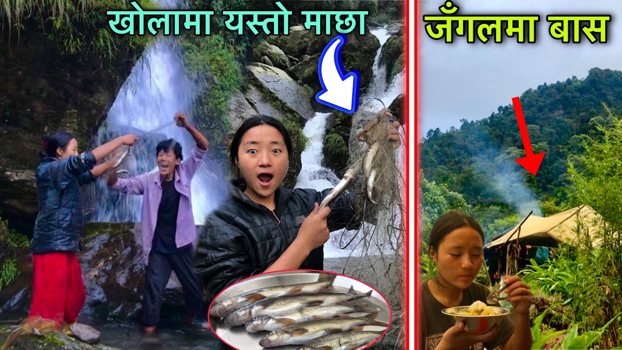 Village Fishing,Cooking and Eating ! Himalayan Trout Fishing ! Fishing in Nepal @villageboysunil 