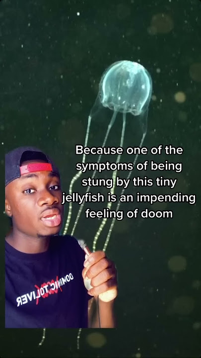 Why This Tiny Jellyfish Is Much Worse Than You Think