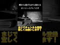 棘から逃げながら暴れるキノピオとヨッシー マリオカート8DX 棘から逃げながら暴れるキノピオとヨッシー マリオカート8DX