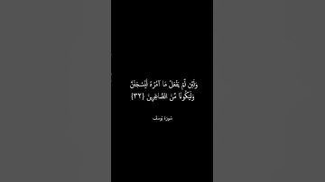 فَذَٰلِكُنَّ الَّذِي لُمْتُنَّنِي فِيهِ ۖ -سورة يوسف - صوت جميل - كروما سوداء