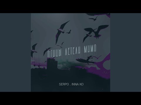 Птицы летели мимо