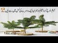 Watch Hikmat-e-Quran - 21st July 2018 - ARY Qtv Online In HD
