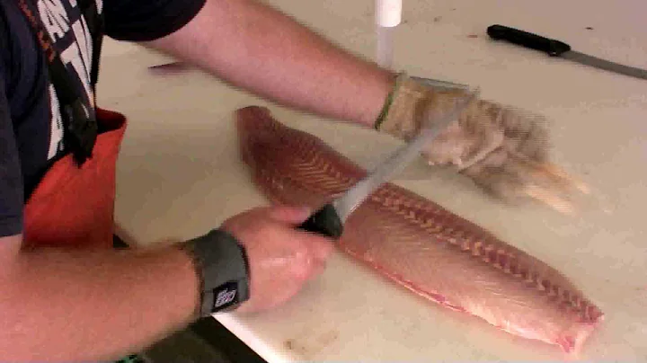 Hawg Quest presents Sturgeon cleaning