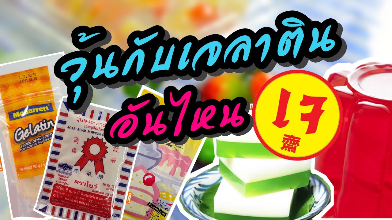 วุ้นกับเจลาติน แบบไหน เจ ทานได้ | ข้อมูลทั้งหมดที่เกี่ยวข้องกับผงวุ้น คือที่ถูกต้องที่สุด