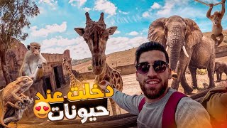 دخلت عند  الحيوانات 🦁🐒