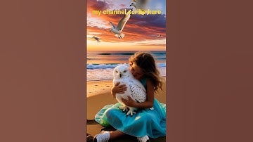 #video #animation #shortvideo #birds bird