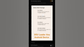 Dsu Loader For any android device Upgrade to Latest Android version