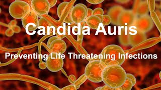 Preventing the Spread of Candida Auris - A Fungus that Can Cause Deadly Infections in Hospitals