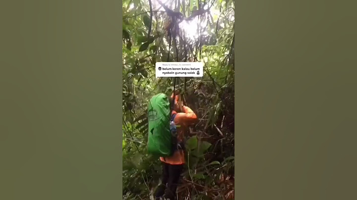Detik Detik Tersesat Di Mistisnya Gunung Salak yang terkenal oleh pendaki akan horrornya