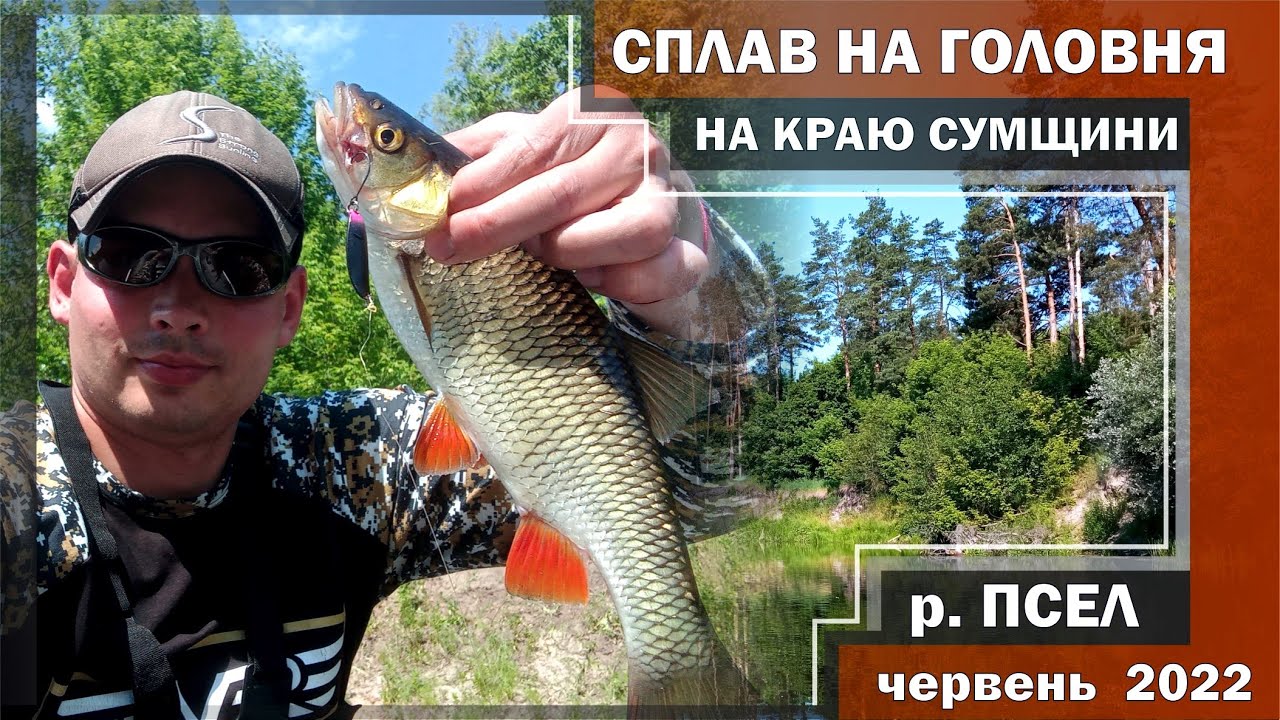 Сплав на головня трохи вище міста Суми 2022