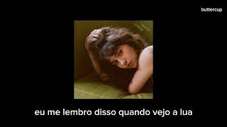 add up my love - clairo [legendado/tradução]
