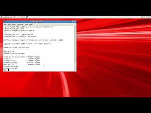 Network tnsping -