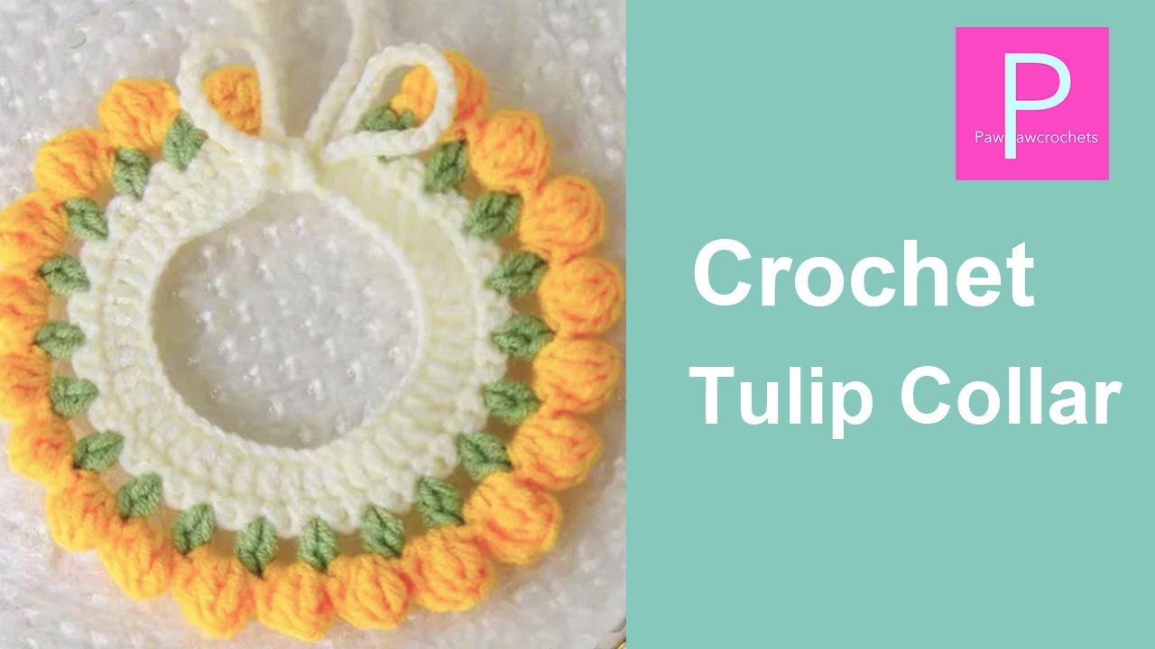 10 Minutes DIY-Crochet a Cute and Colorful Tulip Pet Collar for Your Furry Friend