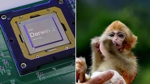 Researchers Claim To Have Created A Virtual Monkey Brain AI Intelligence: Is It Real? 