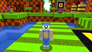 MINECRAFT! Sonic the Hedgehog Map screenshot 4