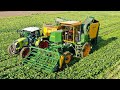 Collecting Sugar Beet Leaf for making Green Protein | Hack Harvest