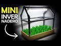 Cómo Hacer un Mini Invernadero Casero