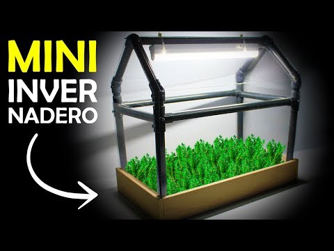 Video: Invernadero de bricolaje con materiales improvisados. Mini-invernaderos de bricolaje