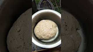 Multigrain aata se roti #plslikesubscribe #shortvideo