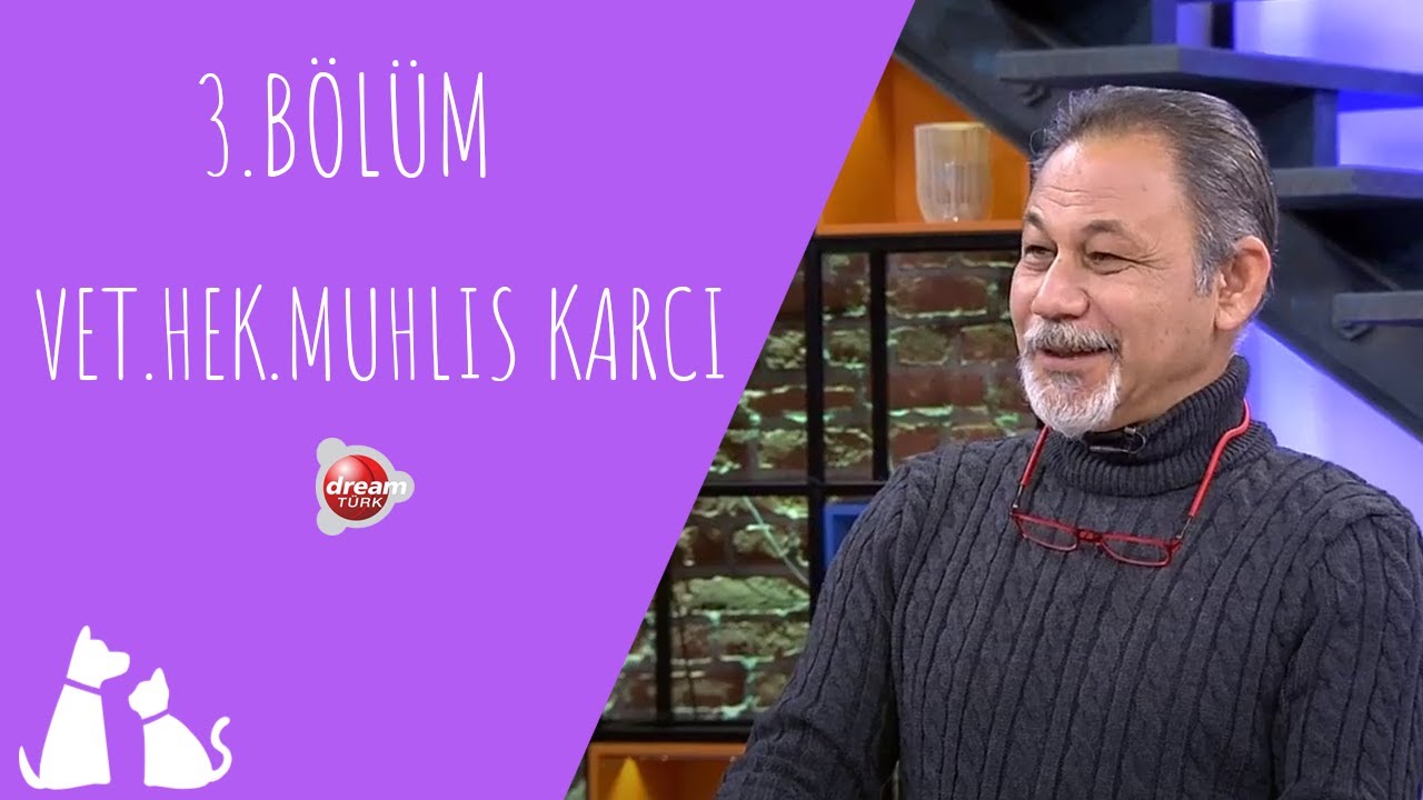 Üriner İnkontinens Nedir? Üriner İnkontines Ne Zaman Görülür? | ÇOK YAŞA CAN DOSTUM