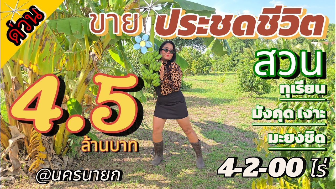 💢ขายประชดชีวิต สวนทุเรียน มะพร้าวน้ำหอม มะยงชิด มังคุด เงาะ [EP.2057]