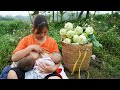 25 year old single mother  harvest kohlrabi go to the market sell  make house railings from bamboo