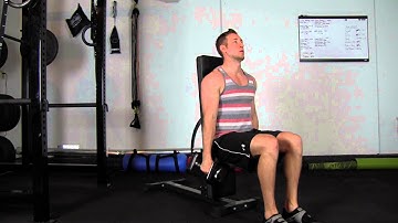 Seated Alternating Hammer Curls
