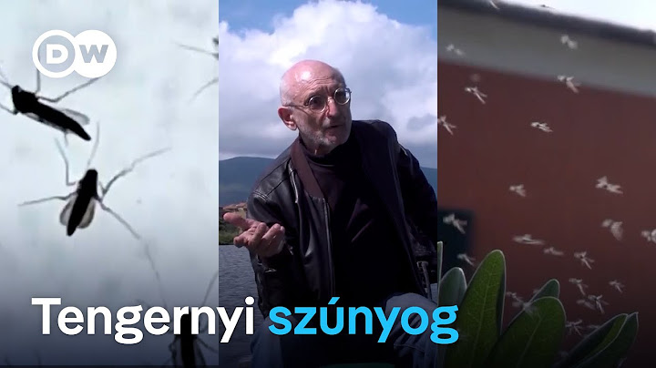 Megeszik a szúnyogok a turistaszezont az olasz tengerparton