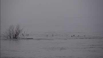 Emptiness and Freedom with Jonathan Foust