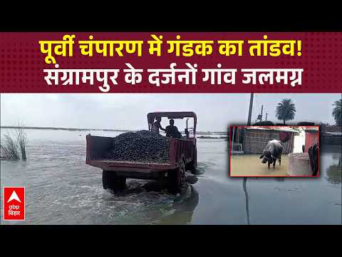 पूर्वी Champaran में गंडक का रौद्र रूप, कई गांवों में घुसा बाढ़ का पानी | ABP BIHAR