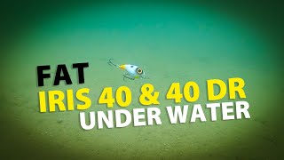 Spro - Fat Iris 40 - Under Water
