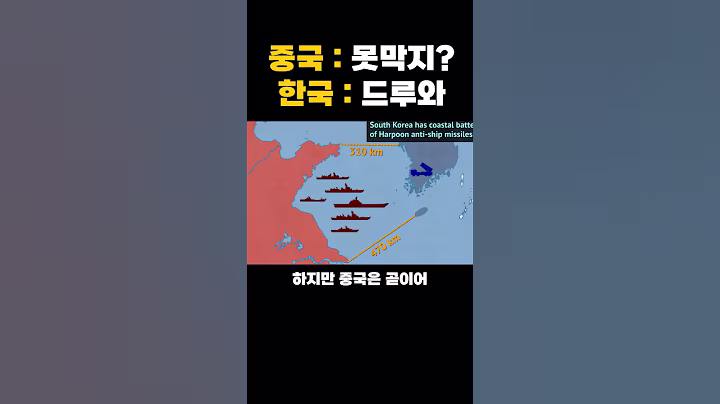 중국과 시나리오 절대 혼자 죽지않는 우리나라 국방력 레전드