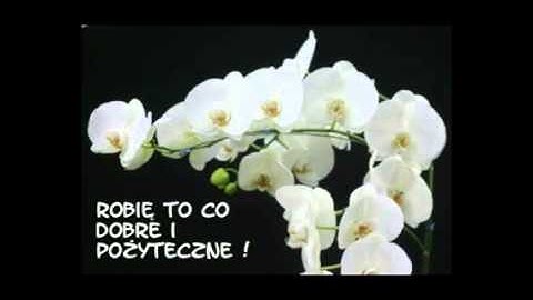 return to me   latino  good sound  stereo  hifi