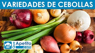 7 Variedades de Cebollas | QueApetito