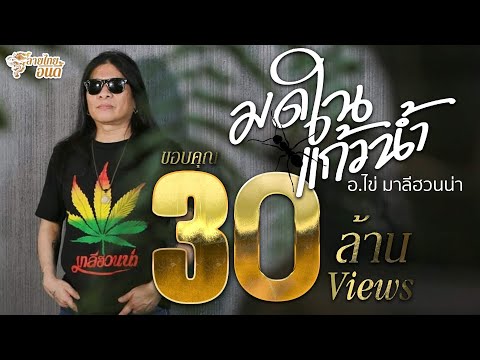 มดในแก้วน้ำ Special Single : อ.ไข่ มาลีฮวนน่า (Official Audio)