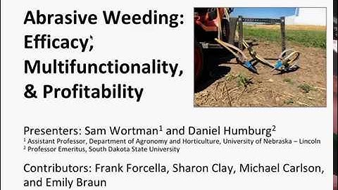 Abrasive Weeding: Efficiency, Multifunctionality and Profitability