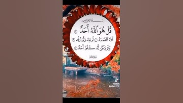 تلاوة خاشعة لسورة الإخلاص الشيخ ماهر المعيقلي