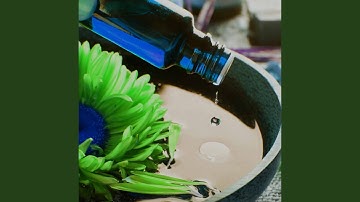 Scintillating Moods for Comforting Tales