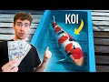 $100,000 Japanese Koi Fish!! - How to BUY & Invest! 💰