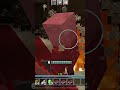 Saved Baby Villagers And Allays #minecraft #shorts #viral #fyp #minecraftshorts