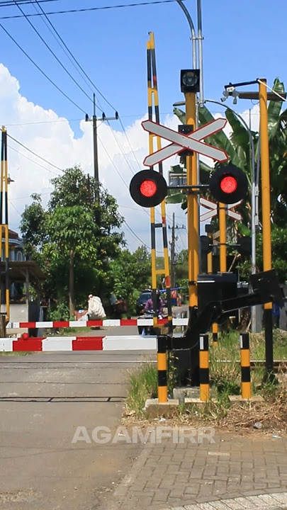 Palang Pintu Kereta Api Multech TC Jatiguwi Sumberpucung Malang #shorts