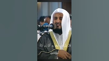 تلاوة قديمة للشيخ مشاري راشد العفاسي #مشاري_العفاسي  #تلاوة_خاشعة #تلاوة_هادئة