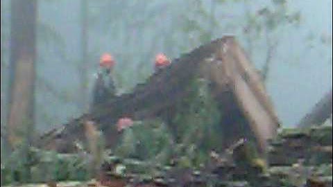 Bateman Mt.Basco Logging Jamie Yraguen Superintendent Rex Neptune Side-Rod