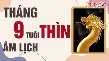 Tử Vi Tháng 9 Âm Lịch Năm 2022 Tuổi Thìn May Mắn Hay Xui Xẻo Xem Là Biết - Tử vi 12 con giáp