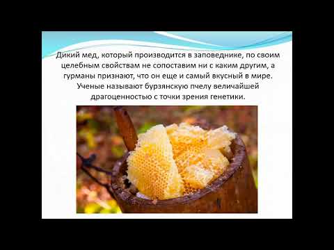 Тема: "Заповедники Башкирии". Педагог Мельникова М.А.
