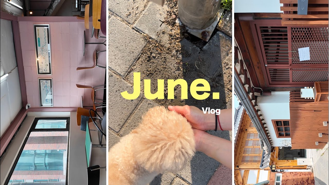 아니, 벌써 6월도 끝이네 #브이로그 #40대퇴사 #스페인이민 #스페인이주 #퇴사자의하루 #vlog #dailyvlog