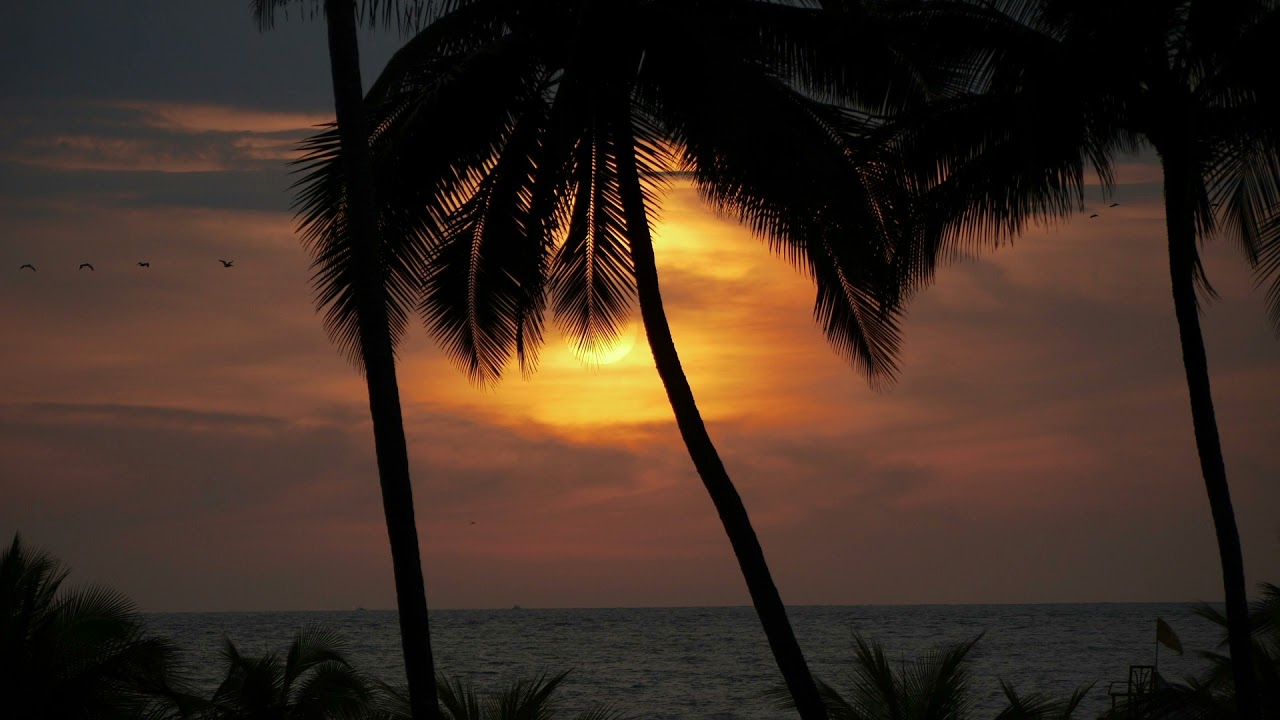 Kenshi Kamaro: Yava (Original Mix)