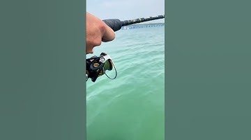 Câu Cá Trên Làng Bè Tại Vũng Tàu #shorts #seafishing #fishing